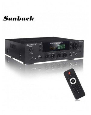 Home Audio & Video-Audio Amplifier Boards-SUNBUCK 2000W Home