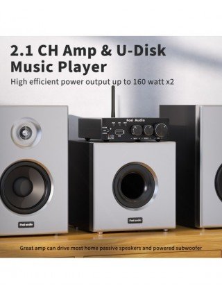 Namų garso ir vaizdo įrašai-Garso stiprintuvai-"Fosi Audio" 160W BL20C "Bluetooth" antenos