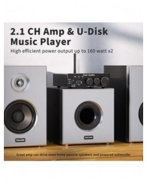Namų garso ir vaizdo įrašai-Garso stiprintuvai-"Fosi Audio" 160W BL20C "Bluetooth" antenos