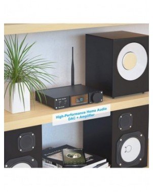 Home Audio & Video-Audio Amplifier Boards-Fosi Audio DA2120C