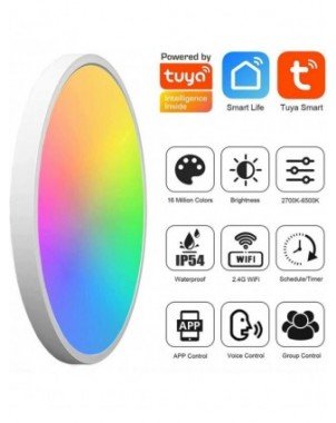 Vidinis apšvietimas-Lubų šviestuvai-Tuya Smart Wifi Led lubų lempa, Smart Life nuotolinio