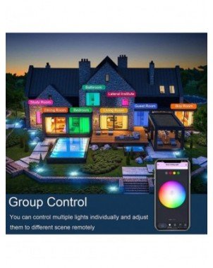 Vidinis apšvietimas-Lubų šviestuvai-Tuya Smart Wifi Led lubų lempa, Smart Life nuotolinio