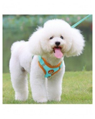For pets-Stuff for dogs-Adjustable No Pull Pet Reflective Dog