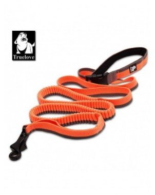 For pets-Stuff for dogs-Truelove Dog Running Bungee Leash