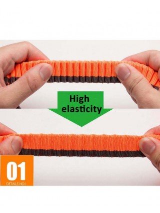 For pets-Stuff for dogs-Truelove Dog Running Bungee Leash
