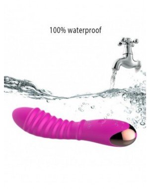 Vibratoriai, Dildo-Išmanieji-20 speeds real dildo Vibrators for