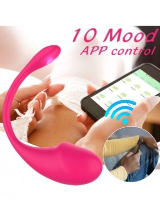 Bluetooth Dildo Vibrator Sex Toys For Women