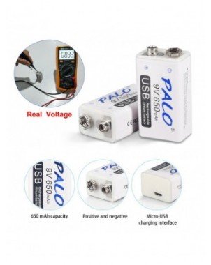 Accessories & Parts-Batteries-PALO 9V Rechargeable Battery 9