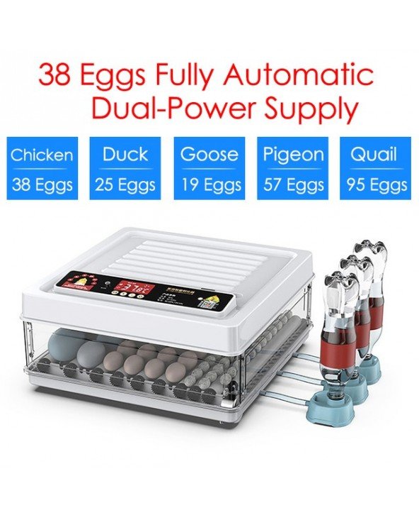 Tools-Garden Tools-24/38 Brooder Eggs Incubator Fully Automatic Tools-Garden Tools-24/38 Brooder Eggs Incubator Fully Automatic