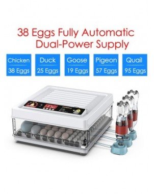 Tools-Garden Tools-24/38 Brooder Eggs Incubator Fully Automatic