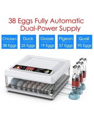 Tools-Garden Tools-24/38 Brooder Eggs Incubator Fully Automatic