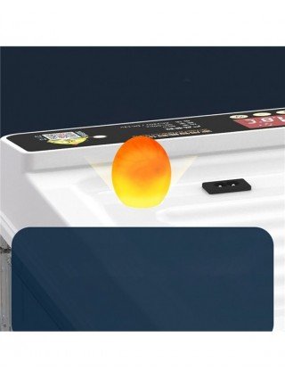 Tools-Garden Tools-24/38 Brooder Eggs Incubator Fully Automatic