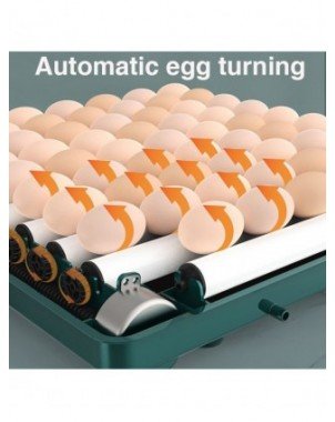 For pets-Stuff for birds-220V 10/12 Eggs Incubator Fully