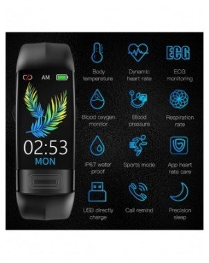 Smart Electronics-Smart Watches-ECG+PPG Smart Wristband Fitness