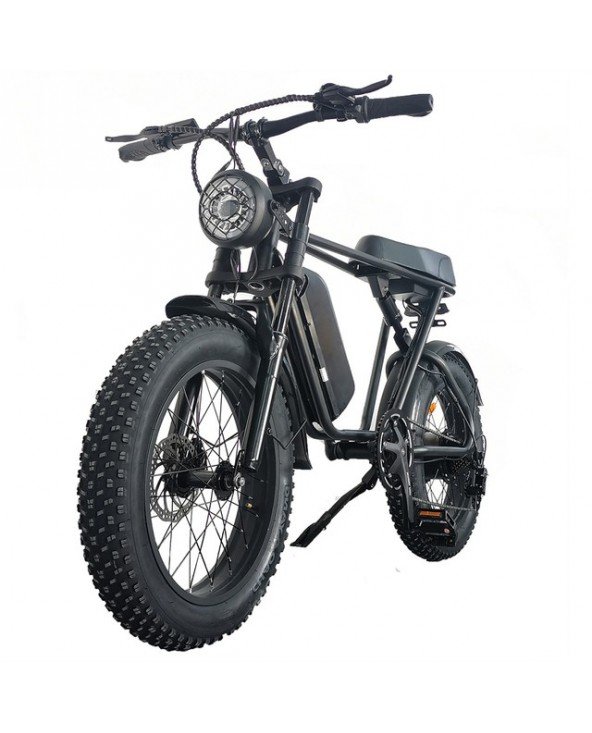 Cycling-Bicycles-C91 1000W Electric Bike 48V 20Ah 20*4.0 Fat