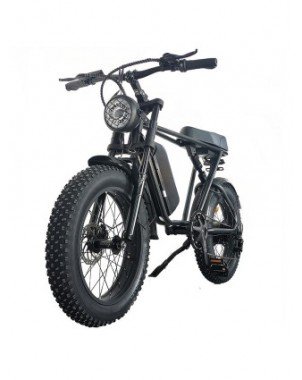 Cycling-Bicycles-C91 1000W Electric Bike 48V 20Ah 20*4.0 Fat