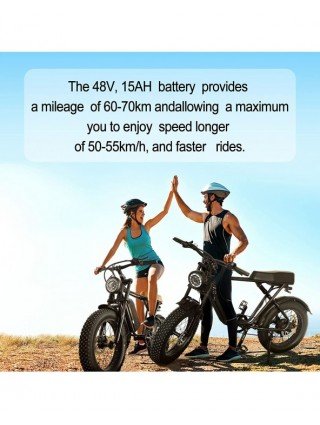 Cycling-Bicycles-C91 1000W Electric Bike 48V 20Ah 20*4.0 Fat