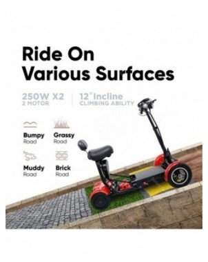 Cycling-Bicycles-Daibot Electric Scooter For Disabled Four