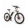 Dviračiu Sportas-Dviračiai-MY-SM26 kalnų dviratis 26 colių 48V 350W Ebike 21 greitis 80km Rida