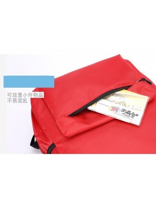 Other Bags & Accessories-Kids & Baby Bags-Pokemon Student