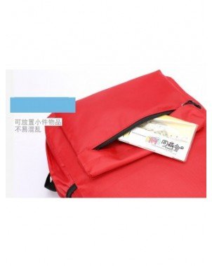 Other Bags & Accessories-Kids & Baby Bags-Pokemon Student
