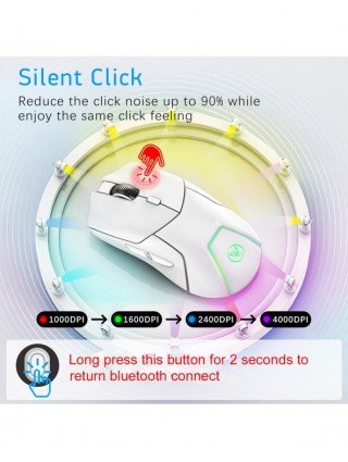 Komponentai ir išoriniai įrenginiai-Pelės-Pelės įkraunama trijų režimų 2.4G belaidė Bluetooth