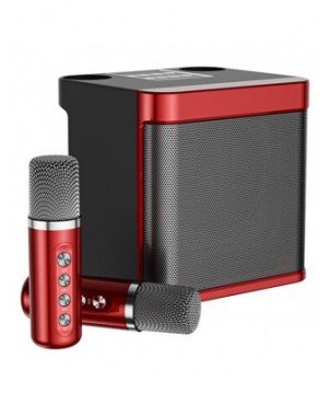 Home Audio & Video-Audio Amplifier Boards-Dual Microphone