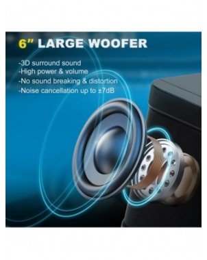 Home Audio & Video-Audio Amplifier Boards-Dual Microphone