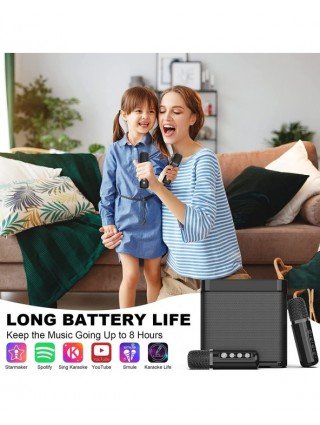 Home Audio & Video-Audio Amplifier Boards-Dual Microphone