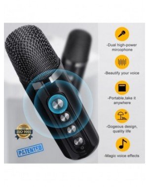 Home Audio & Video-Audio Amplifier Boards-Dual Microphone