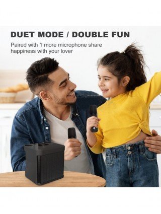 Home Audio & Video-Audio Amplifier Boards-Dual Microphone