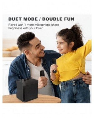 Home Audio & Video-Audio Amplifier Boards-Dual Microphone
