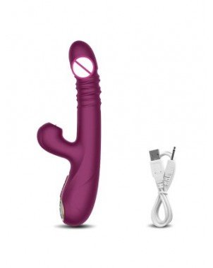 Thrusting Pushing Vibrator Sex Toy for Women Clit Sucker