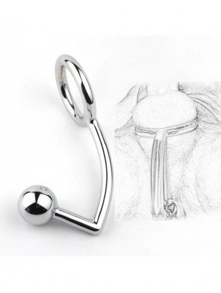 Stainless Steel Anal Hook with Penis Ring Male Chastity Device