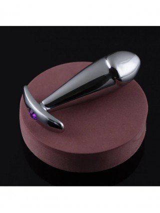 Stainless Steel Anal Plug Intimate Things Anal Dilator Prostate