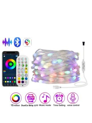 Rgbic Lights Tuya Wifi Girlianda Usb 5v WS2812B Bluetooth