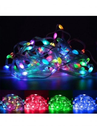 Rgbic Lights Tuya Wifi Girlianda Usb 5v WS2812B Bluetooth
