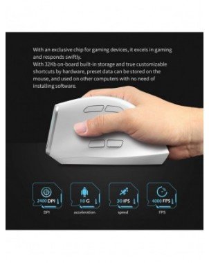 F-36 Ergonomic Vertical Mouse 2.4G+BT1+BT2 Wireless Right Left