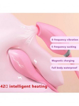 Naujausio dizaino Premium Clitoris Vibrator 5 siurbimo