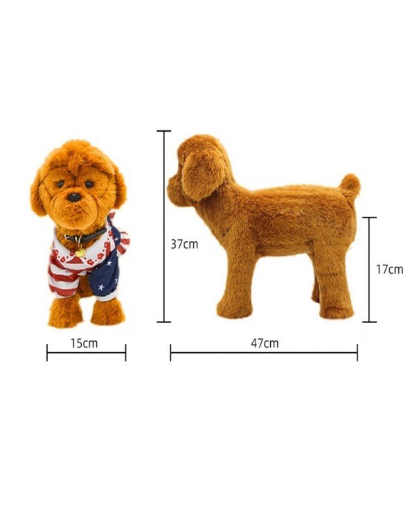 Pet Toys Sleep Estrus Male Sex Vent Plush Poodle Vent Fire Osetrus Partner Mating Sexual Venting Fidget Toys Companion Cat Dog - Pet Toys Sleep Estrus Male Sex Vent Plush Poodle Vent Fire Osetrus Partner Mating Sexual Venting Fidget Toys Companion Cat Dog -