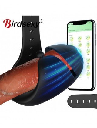 Bluetooth Powerful Vibrator For Men Glans Massager Sex Machine