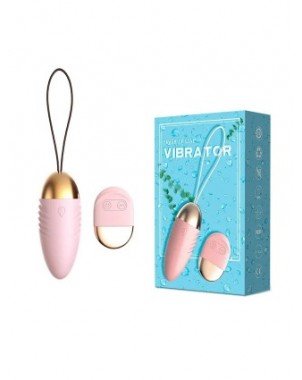 Panties Wireless Remote Vibrator Vagina Vibrating Egg Wearable