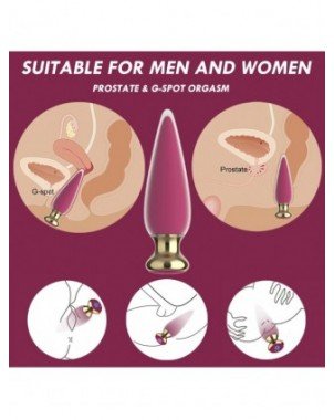 Wireless Remote Anal Vibrator Sex Toy For Men Women Anal Plug
