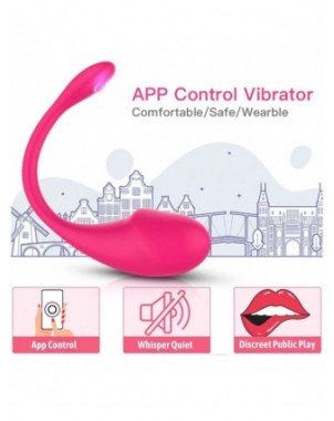 Wireless APP Remote Control Dildo Vibrator for Women Female