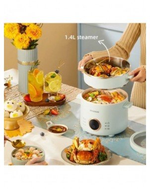 2.0L Electric Rice Cooker Cooking Pot Mini Multicooker Lunch