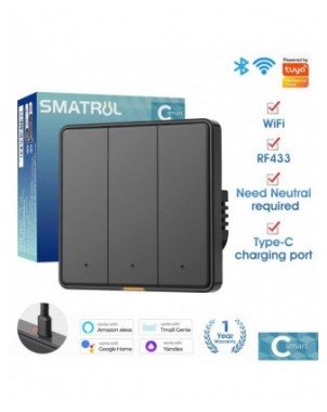 Tuya Smart Switch EU Wall Light Button Switch 110-250v WIFI